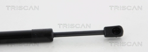 Gas Spring, boot/cargo area