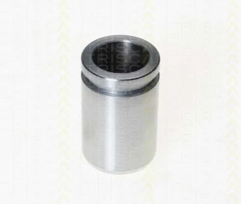 Piston, brake caliper (8170 233024)