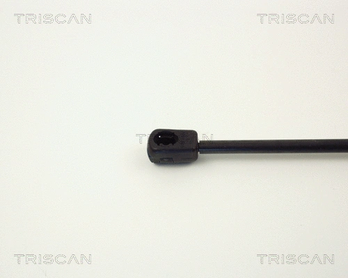 Gas Spring, boot/cargo area