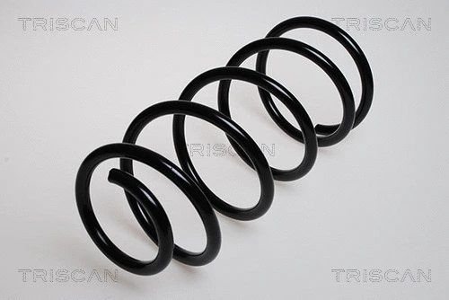 Suspension Spring (8750 28307)