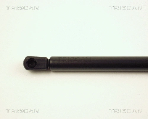 Gas Spring, boot/cargo area
