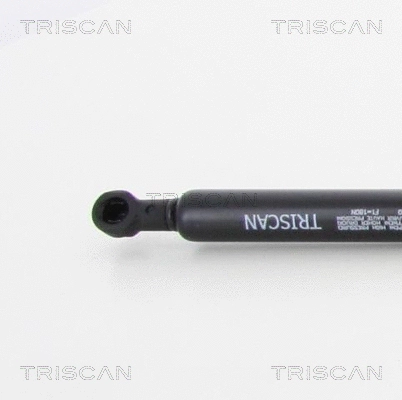 Gas Spring, bonnet