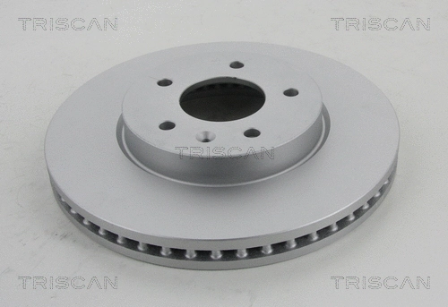 Brake Disc (8120 101017C)