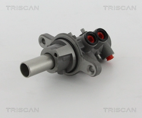 Brake Master Cylinder (8130 15151)