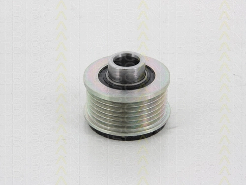 Alternator Freewheel Clutch (8641 254008)