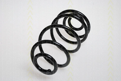 Suspension Spring (8750 24130)