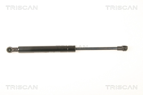 Gas Spring, boot/cargo area