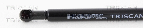 Gas Spring, boot/cargo area