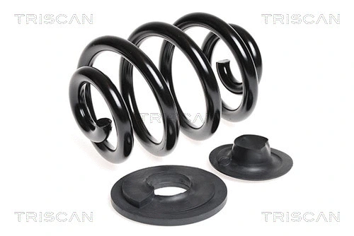Suspension Spring (8750 2997)