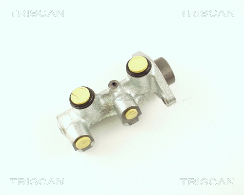 Brake Master Cylinder (8130 24125)