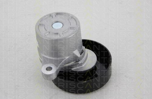 Belt Tensioner, V-ribbed belt (8641 693002)