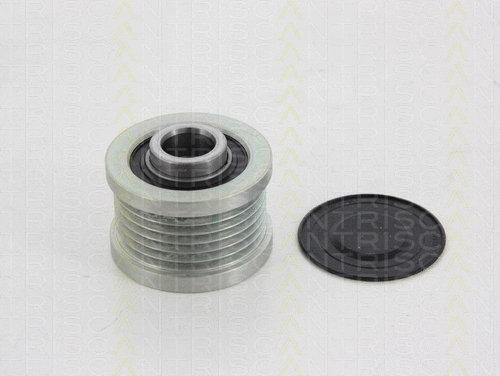Alternator Freewheel Clutch (8641 144007)