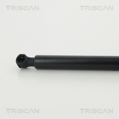 Gas Spring, boot/cargo area