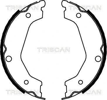 Brake Shoe Set, parking brake (8100 18004)