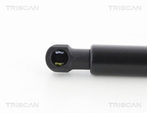 Gas Spring, boot/cargo area