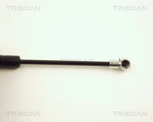 Gas Spring, boot/cargo area