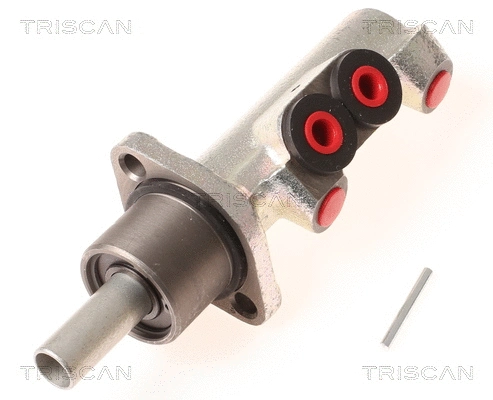 Brake Master Cylinder (8130 10113)
