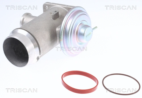 EGR Valve (8813 11102)