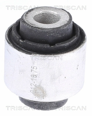 Mounting, control/trailing arm (8500 298060)