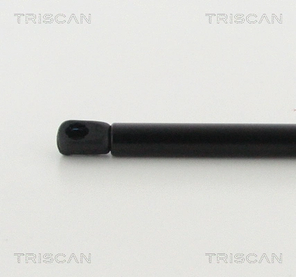 Gas Spring, bonnet