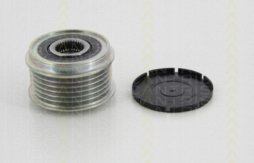 Alternator Freewheel Clutch (8641 434006)