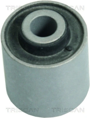 Mounting, control/trailing arm (8500 42800)