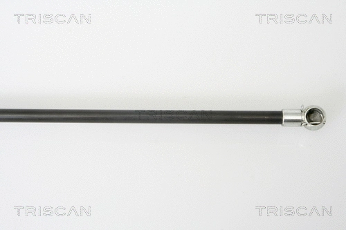 Gas Spring, boot/cargo area