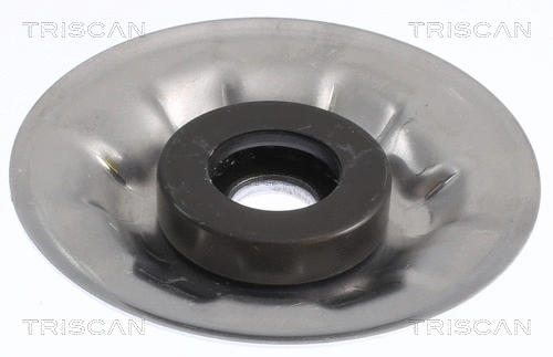 Rolling Bearing, suspension strut support mount