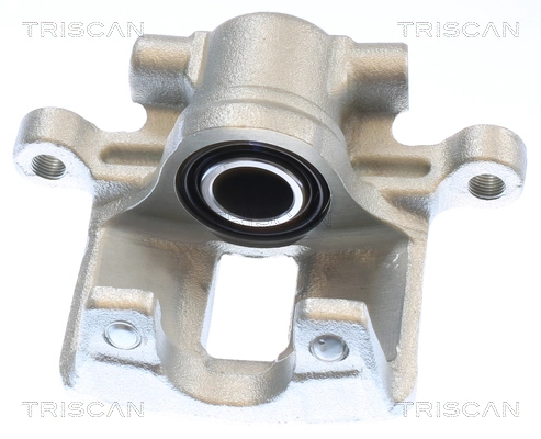 Brake Caliper (8175 10245)