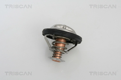 Thermostat, coolant (8620 21791)