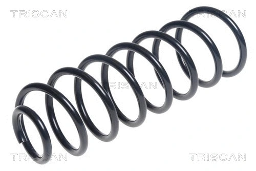 Suspension Spring (8750 6552)