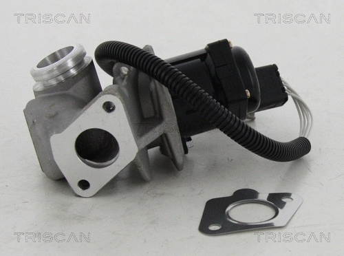 EGR Valve