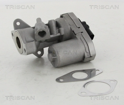 EGR Valve (8813 10002)