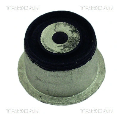 Bushing, axle beam (8500 24839)