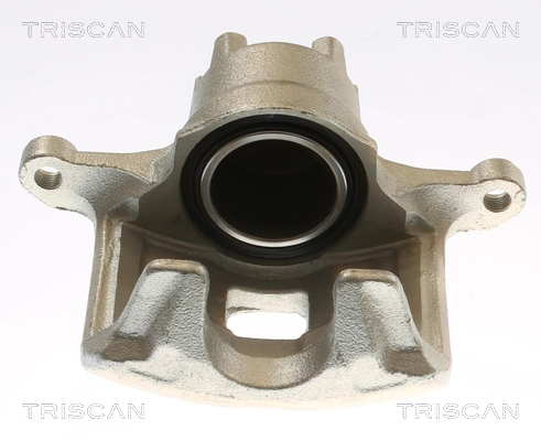 Brake Caliper (8175 10136)