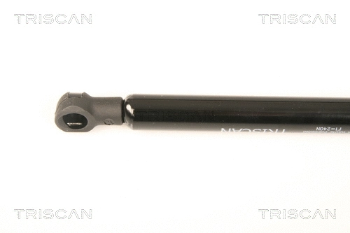 Gas Spring, boot/cargo area