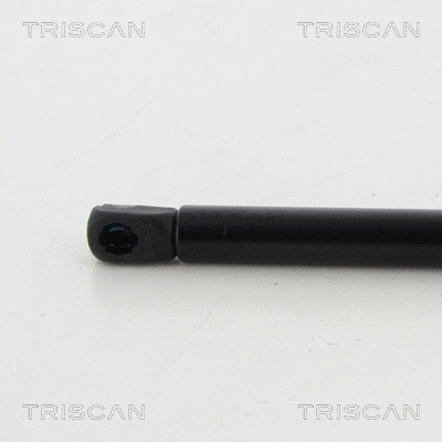 Gas Spring, boot/cargo area