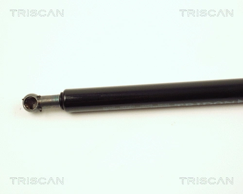 Gas Spring, boot/cargo area