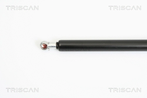 Gas Spring, boot/cargo area