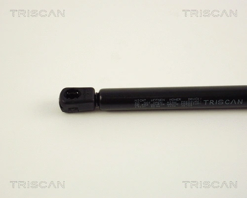 Gas Spring, boot/cargo area