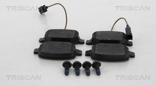 Brake Pad Set, disc brake (8110 12024)