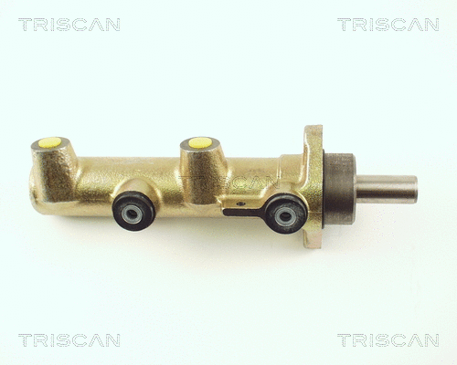 Brake Master Cylinder (8130 25114)