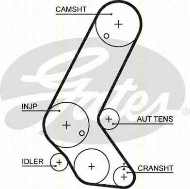 Timing Belt Kit