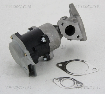 EGR Valve (8813 10008)