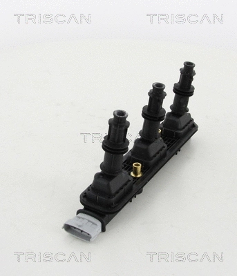 Ignition Coil (8860 24035)