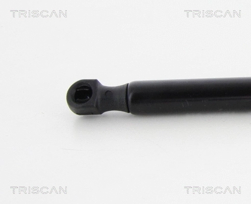 Gas Spring, bonnet