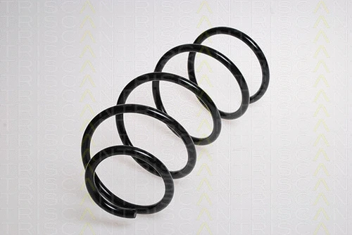 Suspension Spring (8750 1179)