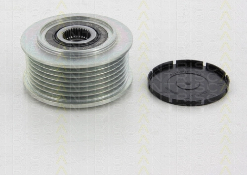 Alternator Freewheel Clutch (8641 404001)