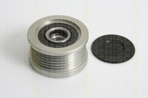 Alternator Freewheel Clutch (8641 434001)