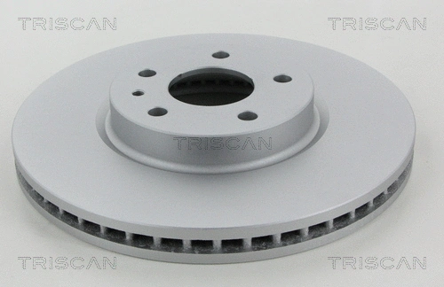 Brake Disc (8120 16174C)